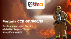 instrução técnica 42/2020