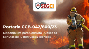disponibiliza para consulta pública