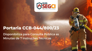 disponibiliza para consulta